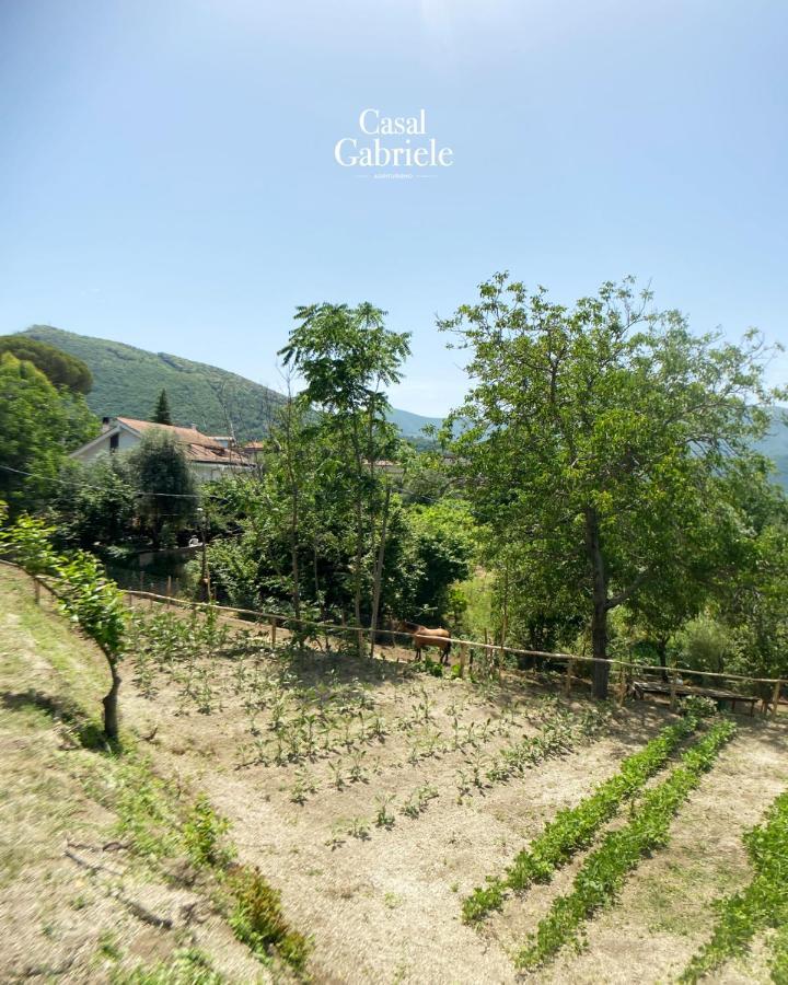 Casal Gabriele Villa Lettere Exterior foto